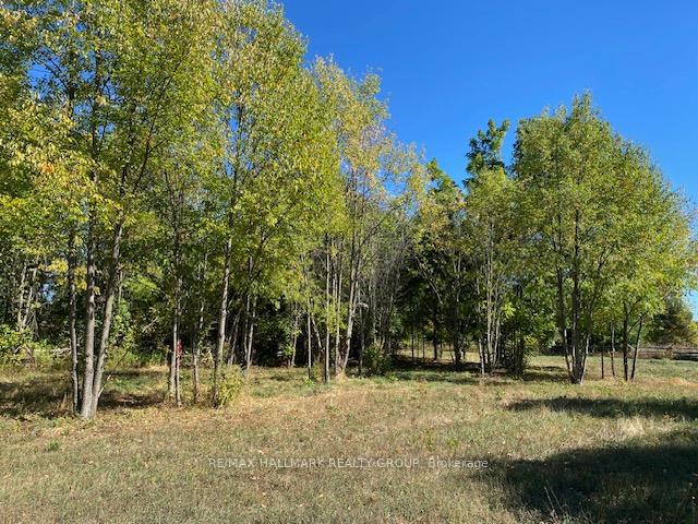 Photo 19 of Part 1 R13 Road, Rideau Lakes, Rideau Lakes (South Elmsley) Twp — HOMEH