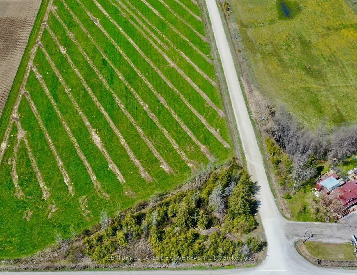 Photo 4 of 2229 Concession 3 Road, Ramara, Rural Ramara — HOMEH