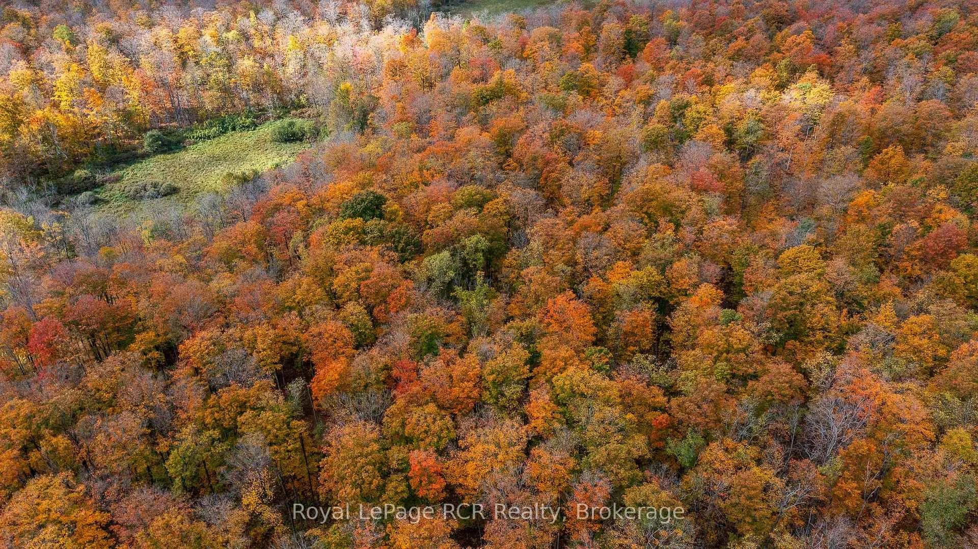 Photo 2 of 00 9th Line, Grey Highlands — HOMEH