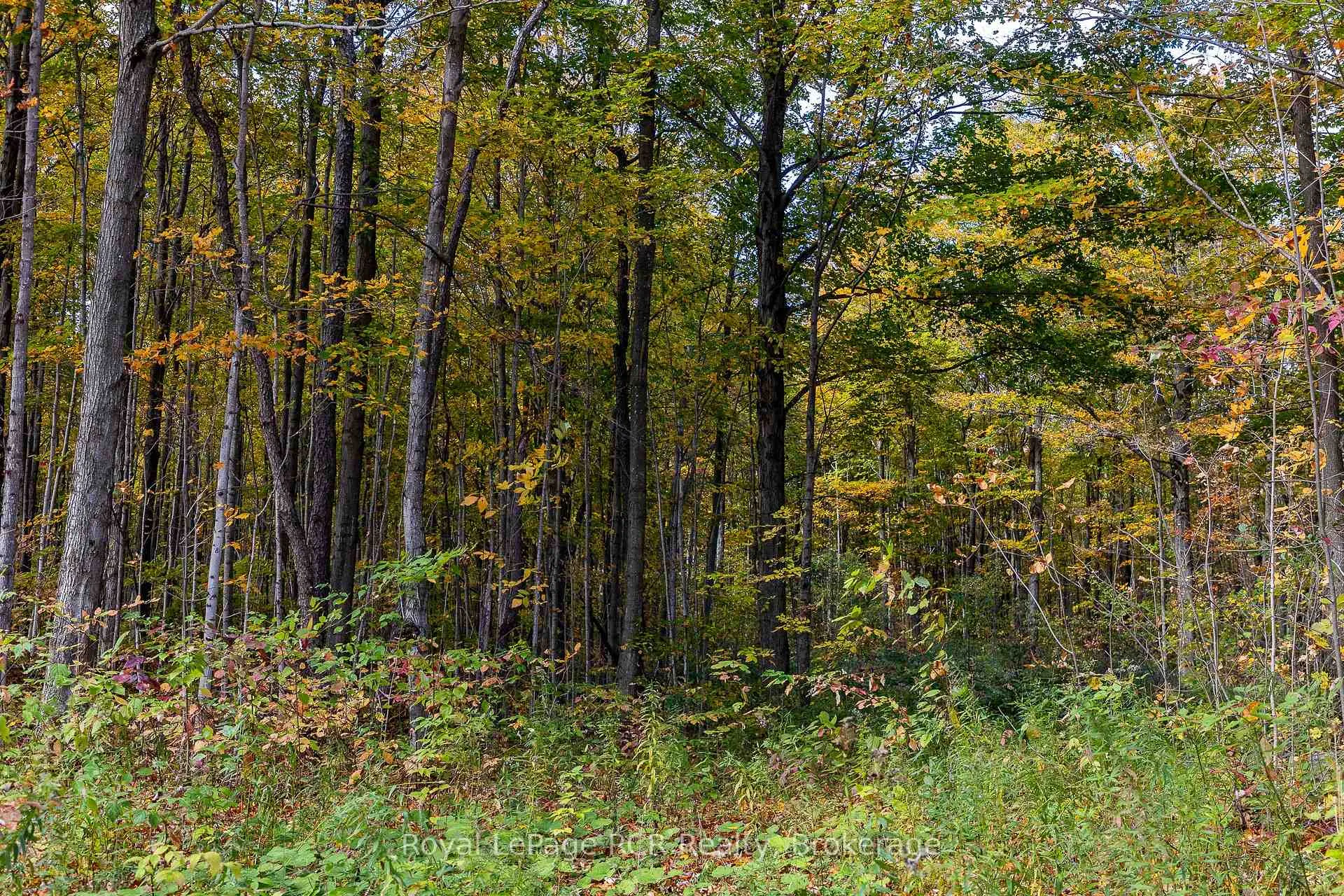 Photo 6 of 00 9th Line, Grey Highlands — HOMEH