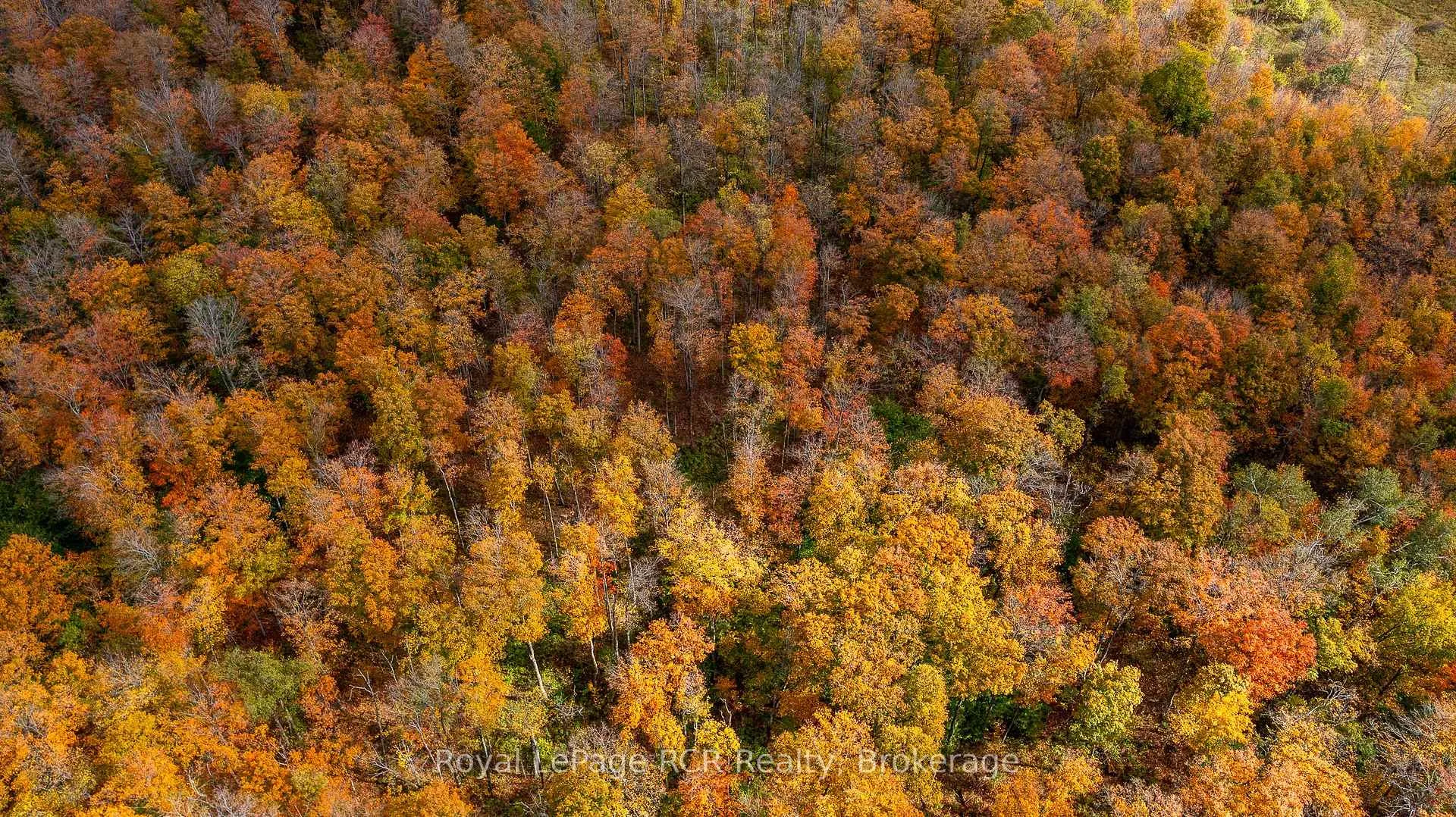 Photo 8 of 00 9th Line, Grey Highlands — HOMEH