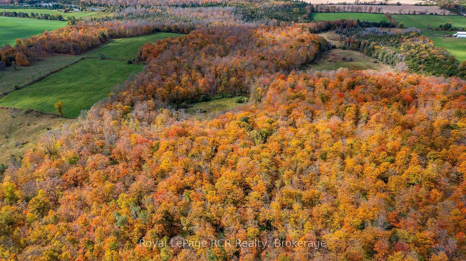 Photo 9 of 00 9th Line, Grey Highlands — HOMEH