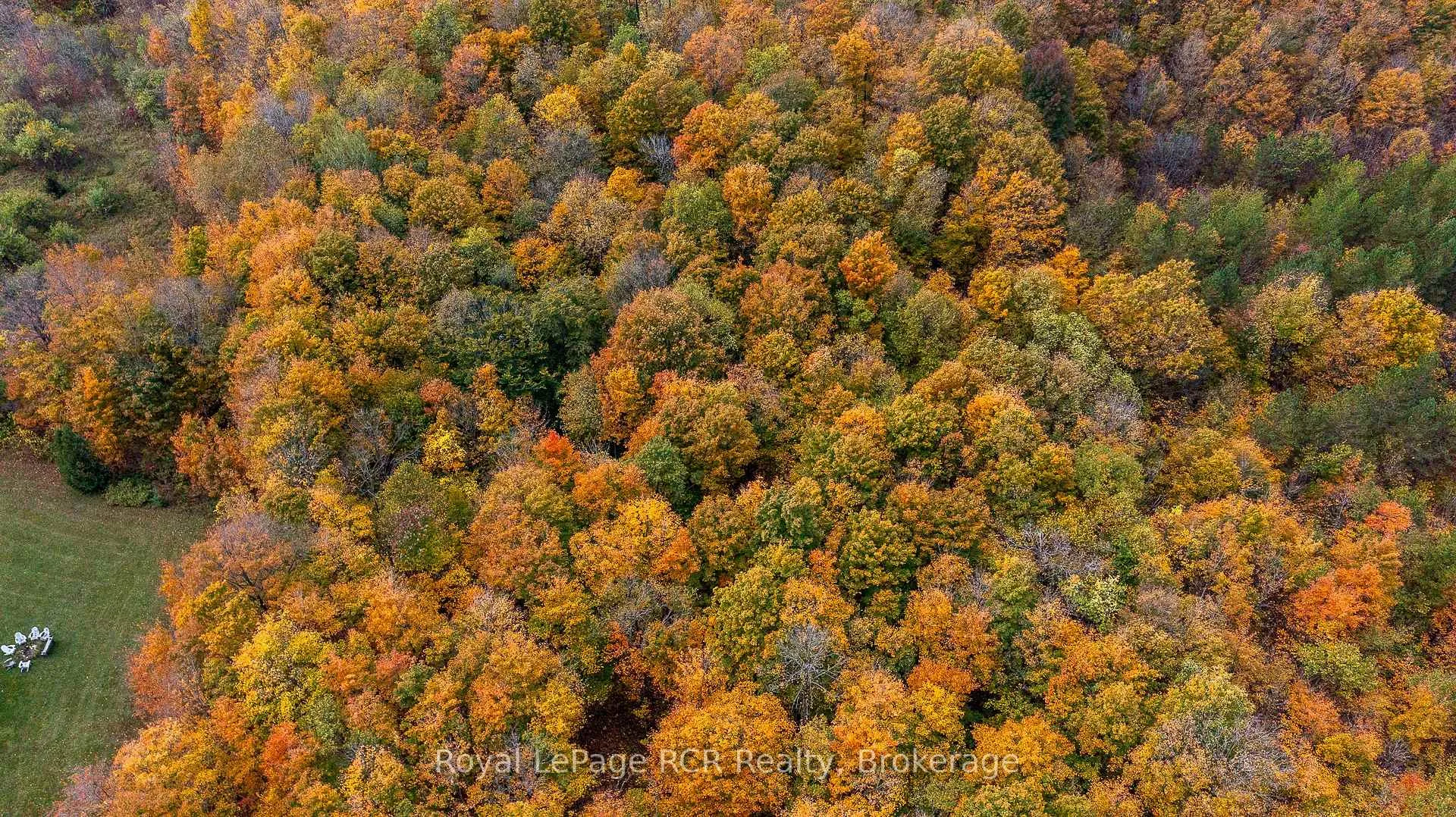 Photo 11 of 00 9th Line, Grey Highlands — HOMEH