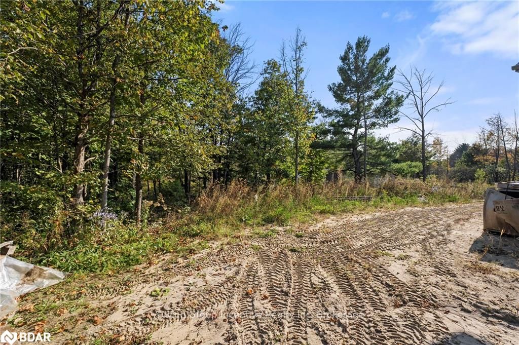 Photo 37 of 1077 Monck Road, Ramara, Rural Ramara — HOMEH