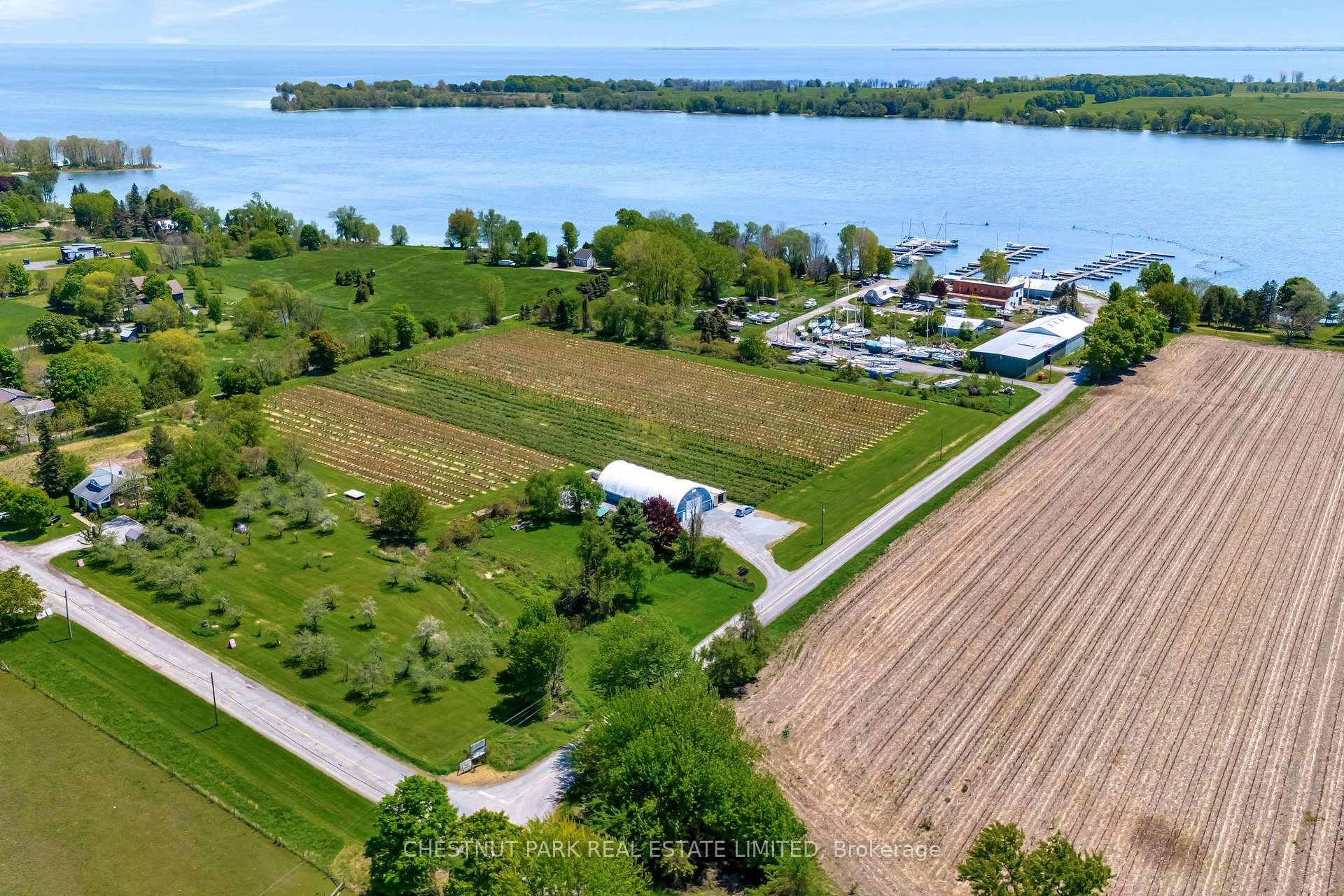 Photo 4 of between 15 & 51 County Rd 38, Prince Edward County, North Marysburg Ward — HOMEH