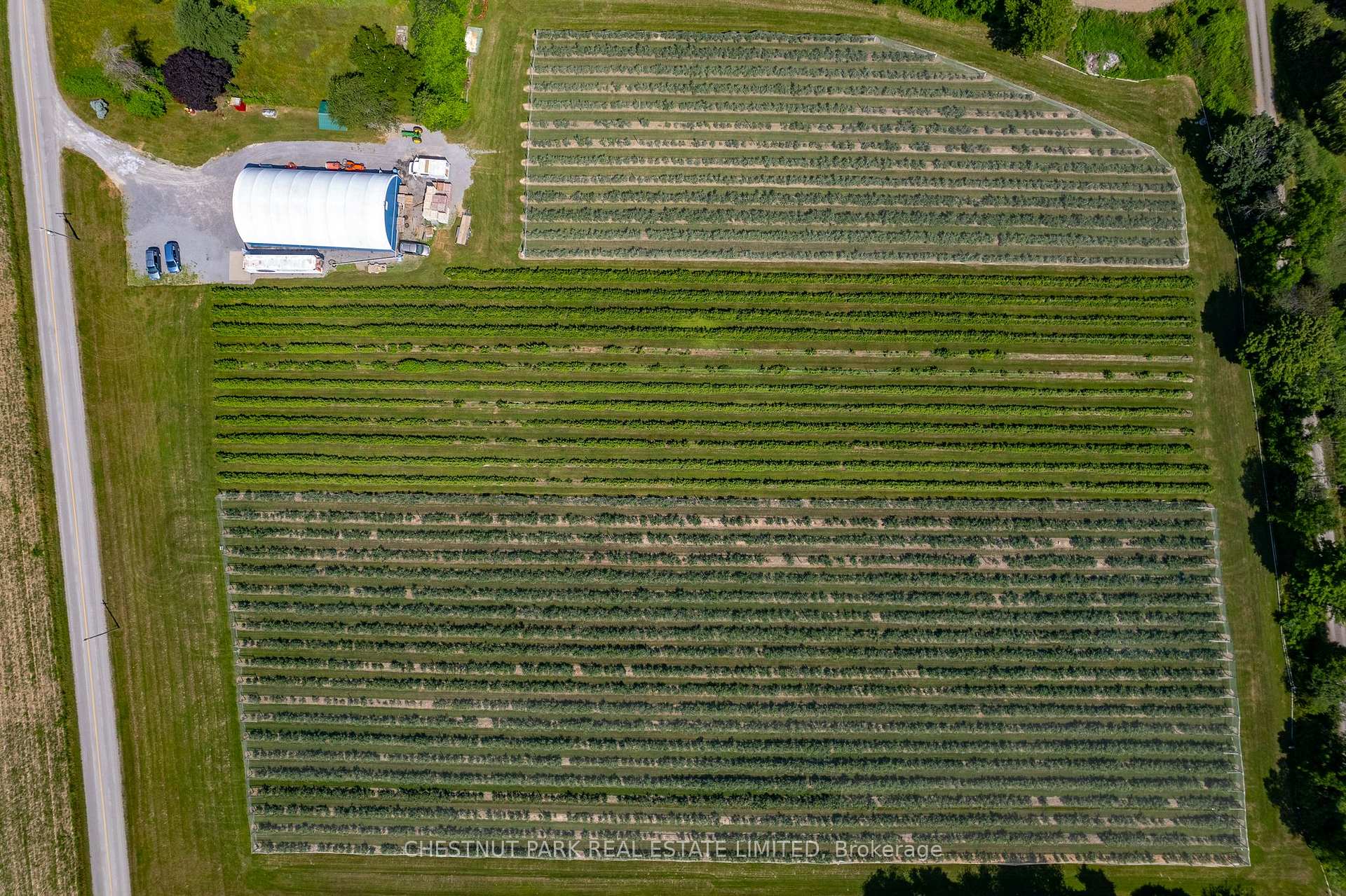 Photo 20 of between 15 & 51 County Rd 38, Prince Edward County, North Marysburg Ward — HOMEH