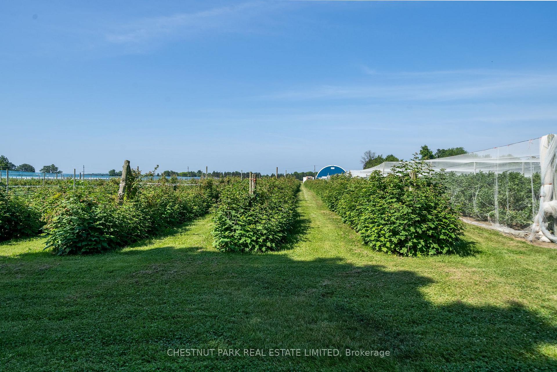 Photo 23 of between 15 & 51 County Rd 38, Prince Edward County, North Marysburg Ward — HOMEH