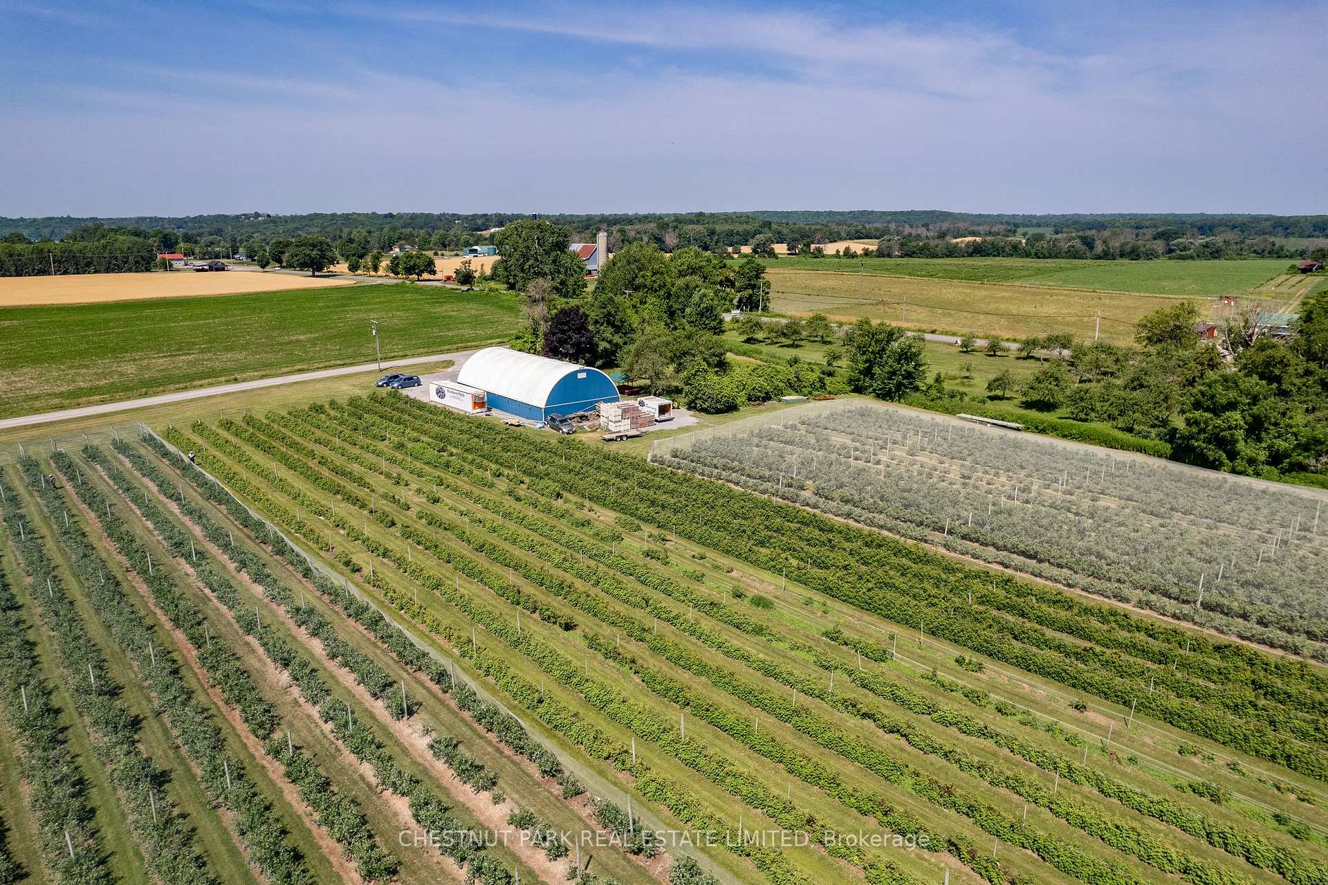 Photo 15 of between 15 & 51 County Road 38, Prince Edward County, North Marysburg Ward — HOMEH