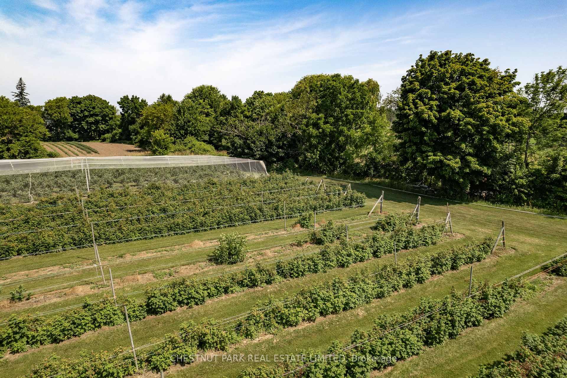 Photo 16 of between 15 & 51 County Road 38, Prince Edward County, North Marysburg Ward — HOMEH