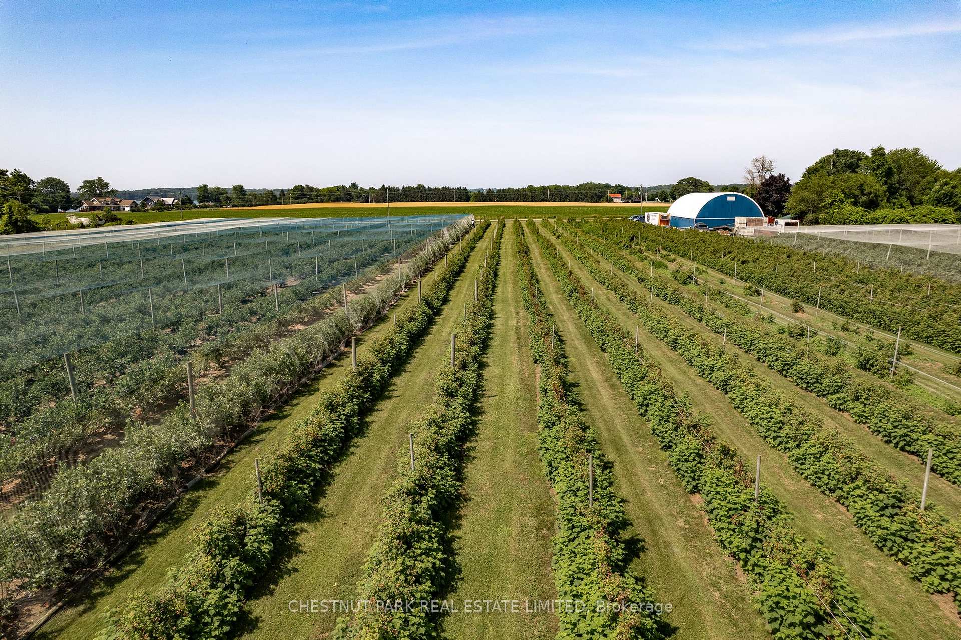 Photo 17 of between 15 & 51 County Road 38, Prince Edward County, North Marysburg Ward — HOMEH