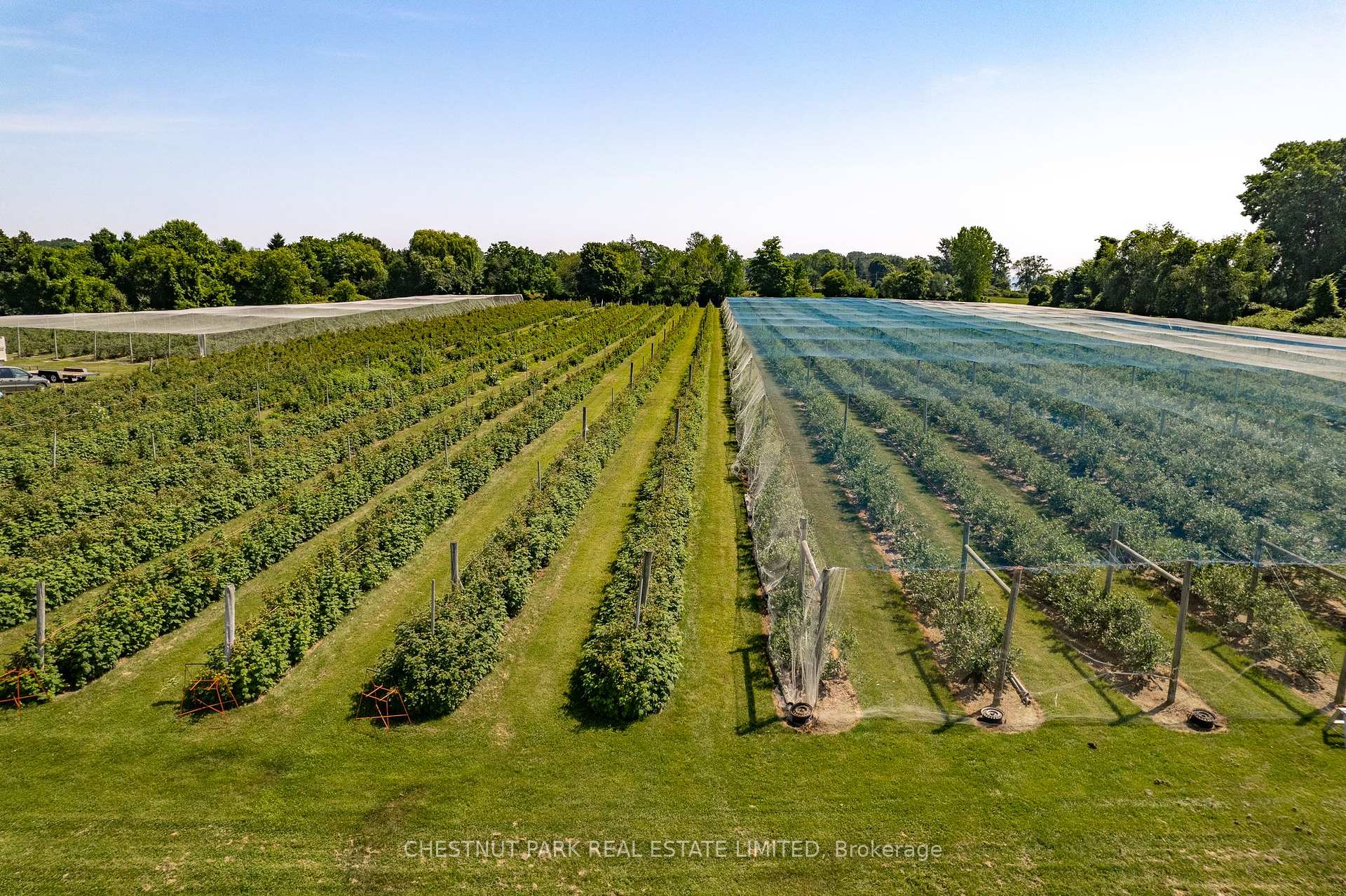 Photo 18 of between 15 & 51 County Road 38, Prince Edward County, North Marysburg Ward — HOMEH