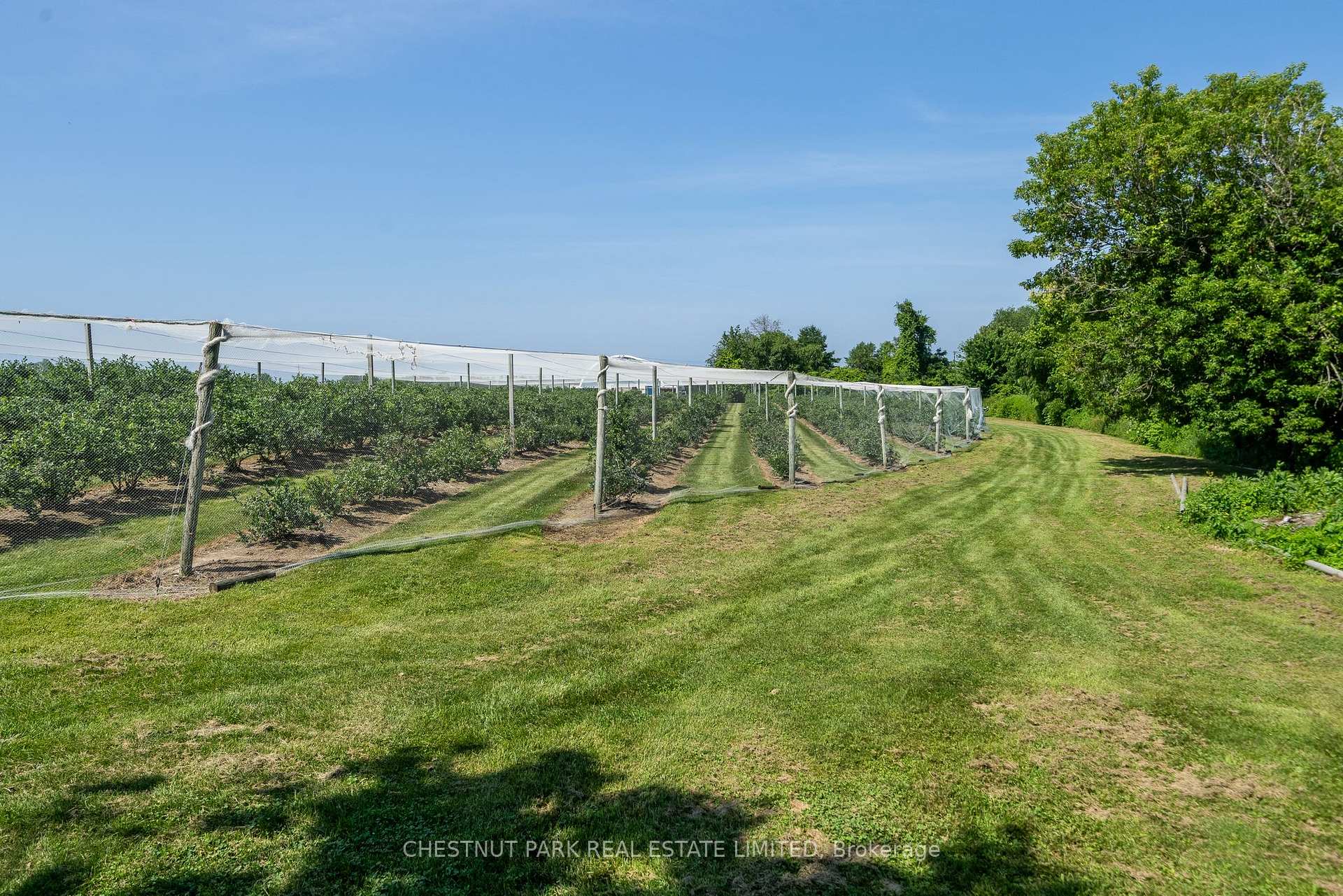 Photo 22 of between 15 & 51 County Road 38, Prince Edward County, North Marysburg Ward — HOMEH