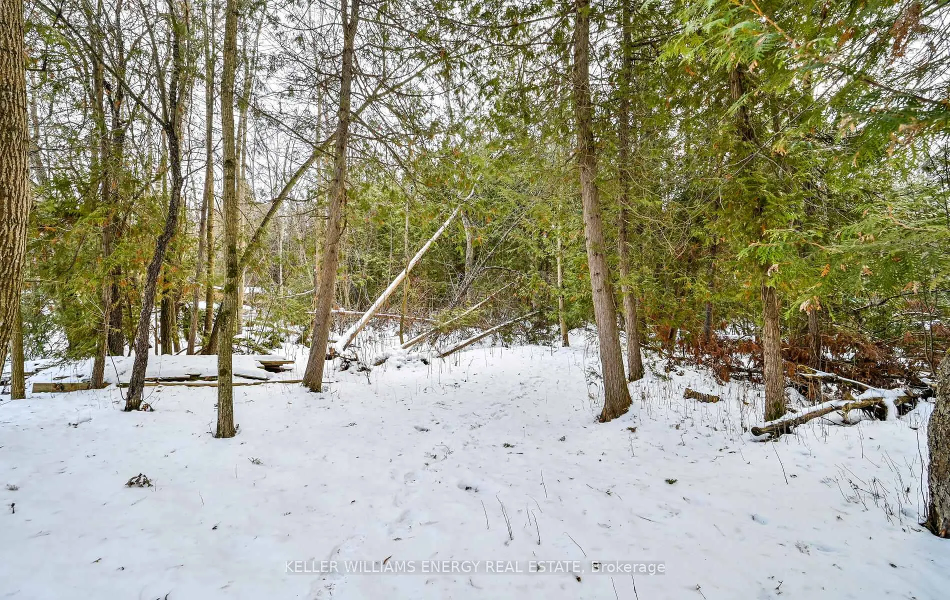 Photo 41 of 60 Davidge Drive, Scugog, Rural Scugog — HOMEH