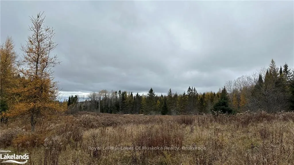 Photo 1 of LOT 2 Hill And Gully Road, Ryerson — HOMEH