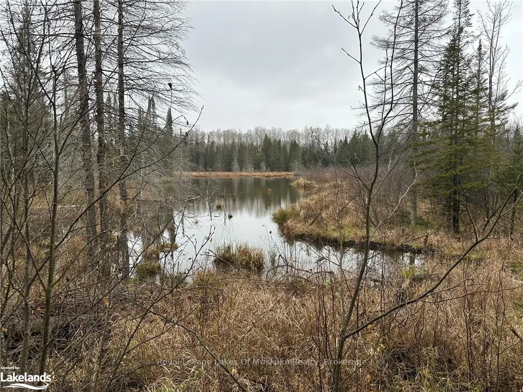 Photo 3 of LOT 2 Hill And Gully Road, Ryerson — HOMEH