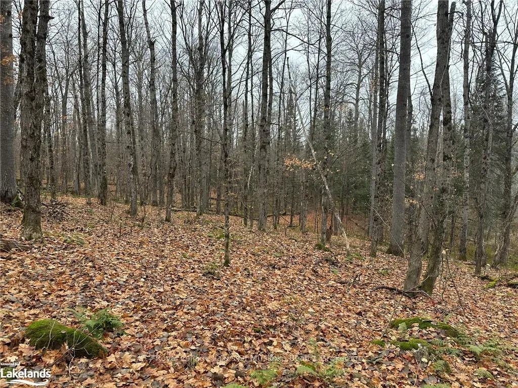 Photo 4 of LOT 2 Hill And Gully Road, Ryerson — HOMEH