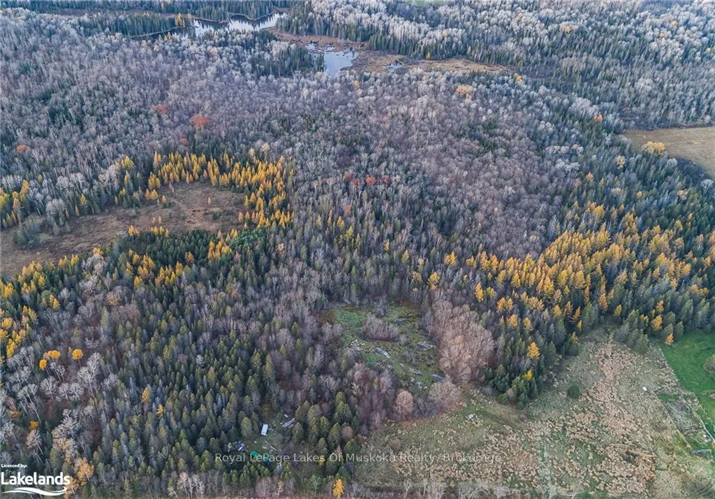 Photo 10 of LOT 2 Hill And Gully Road, Ryerson — HOMEH