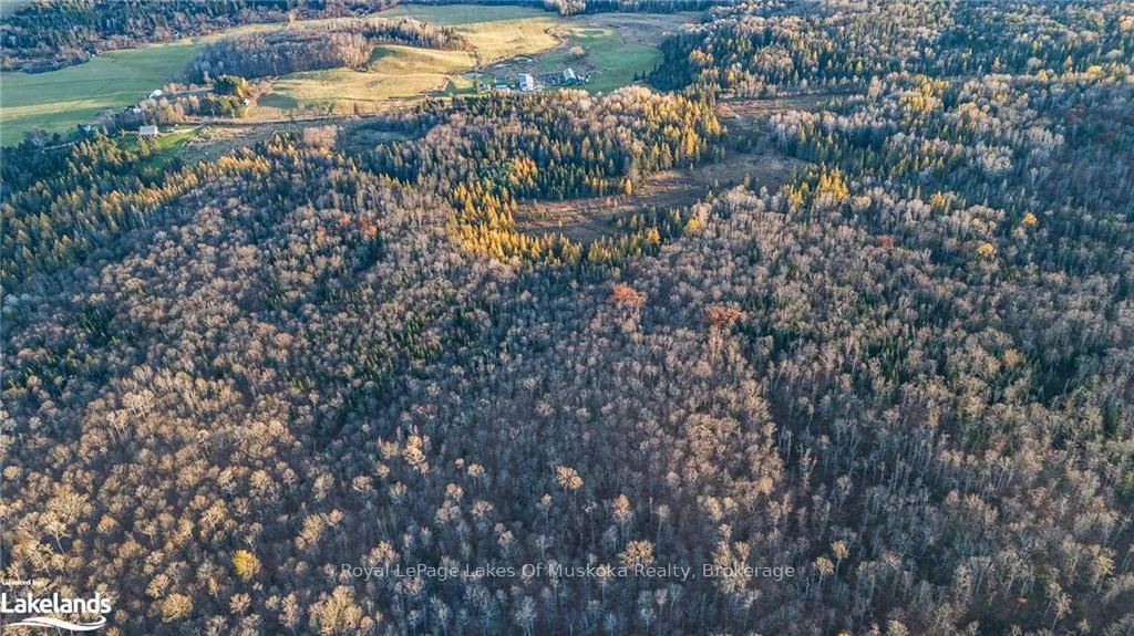 Photo 12 of LOT 2 Hill And Gully Road, Ryerson — HOMEH