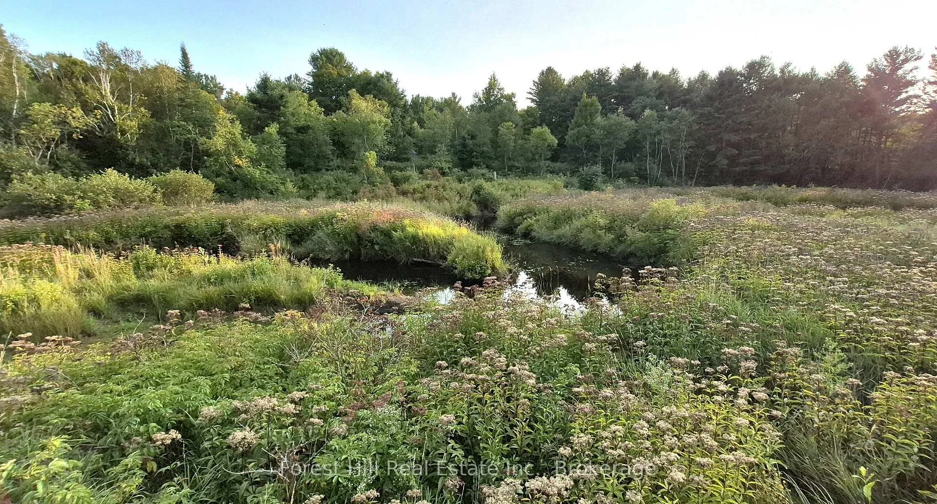 Photo 4 of 77 James Bay Junction Road S, Seguin — HOMEH