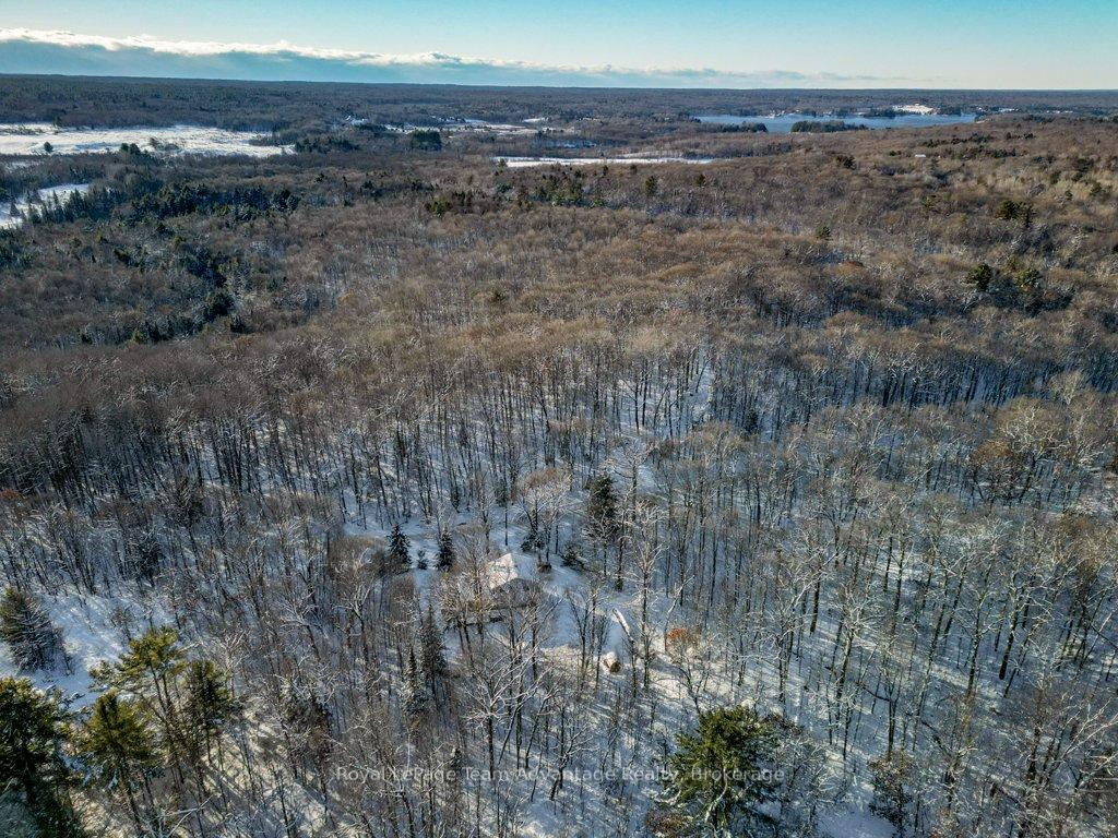Photo 36 of 212 Star Lake Road, Seguin — HOMEH