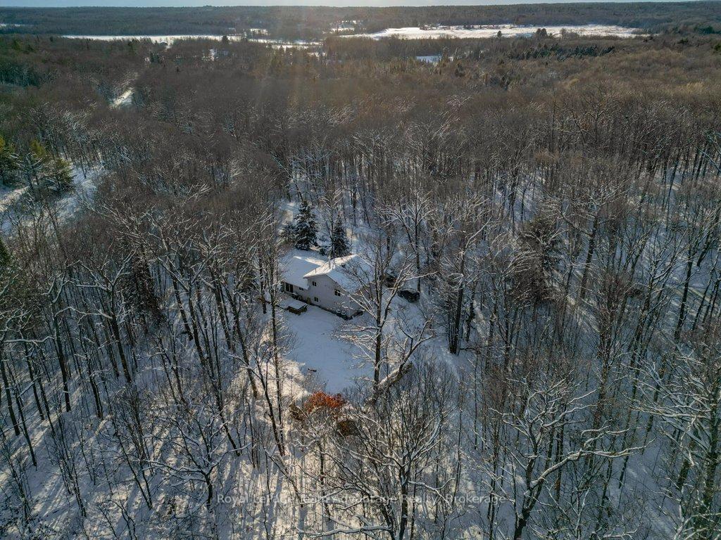 Photo 48 of 212 Star Lake Road, Seguin — HOMEH