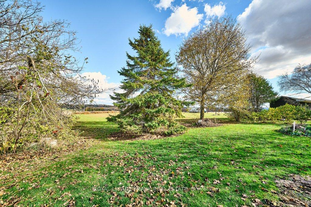 Photo 26 of 16121 Island Road, Scugog, Rural Scugog — HOMEH