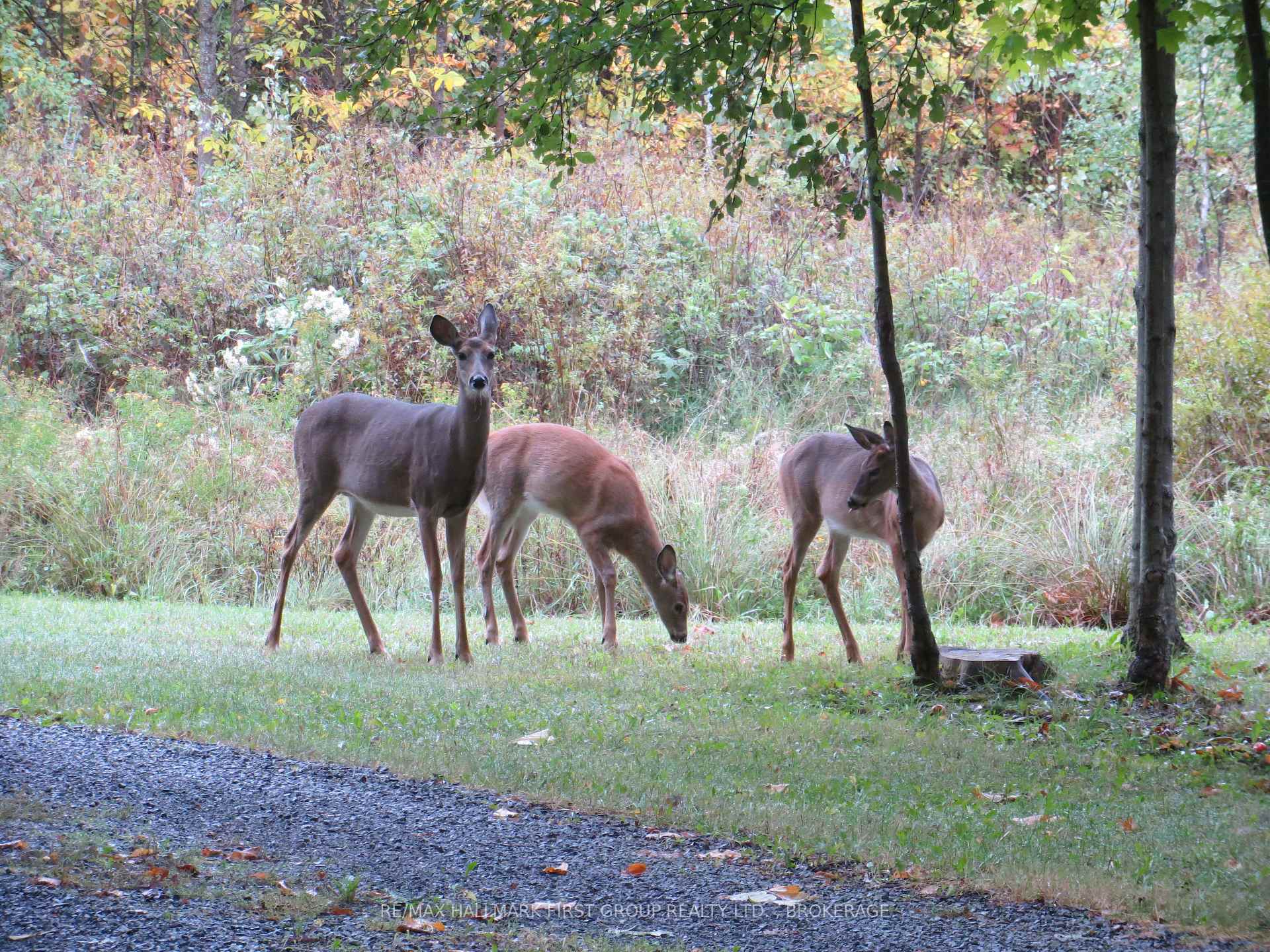 Photo 35 of 1208 Narrows Lock Road, Rideau Lakes, Rideau Lakes (South Crosby) Twp — HOMEH