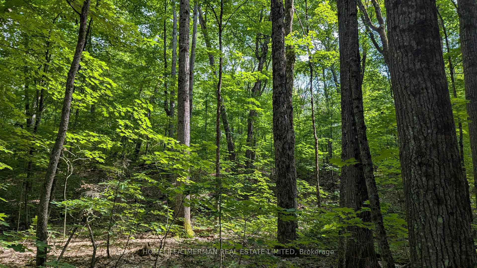 Photo 7 of 68 Mccauley Road, Seguin — HOMEH