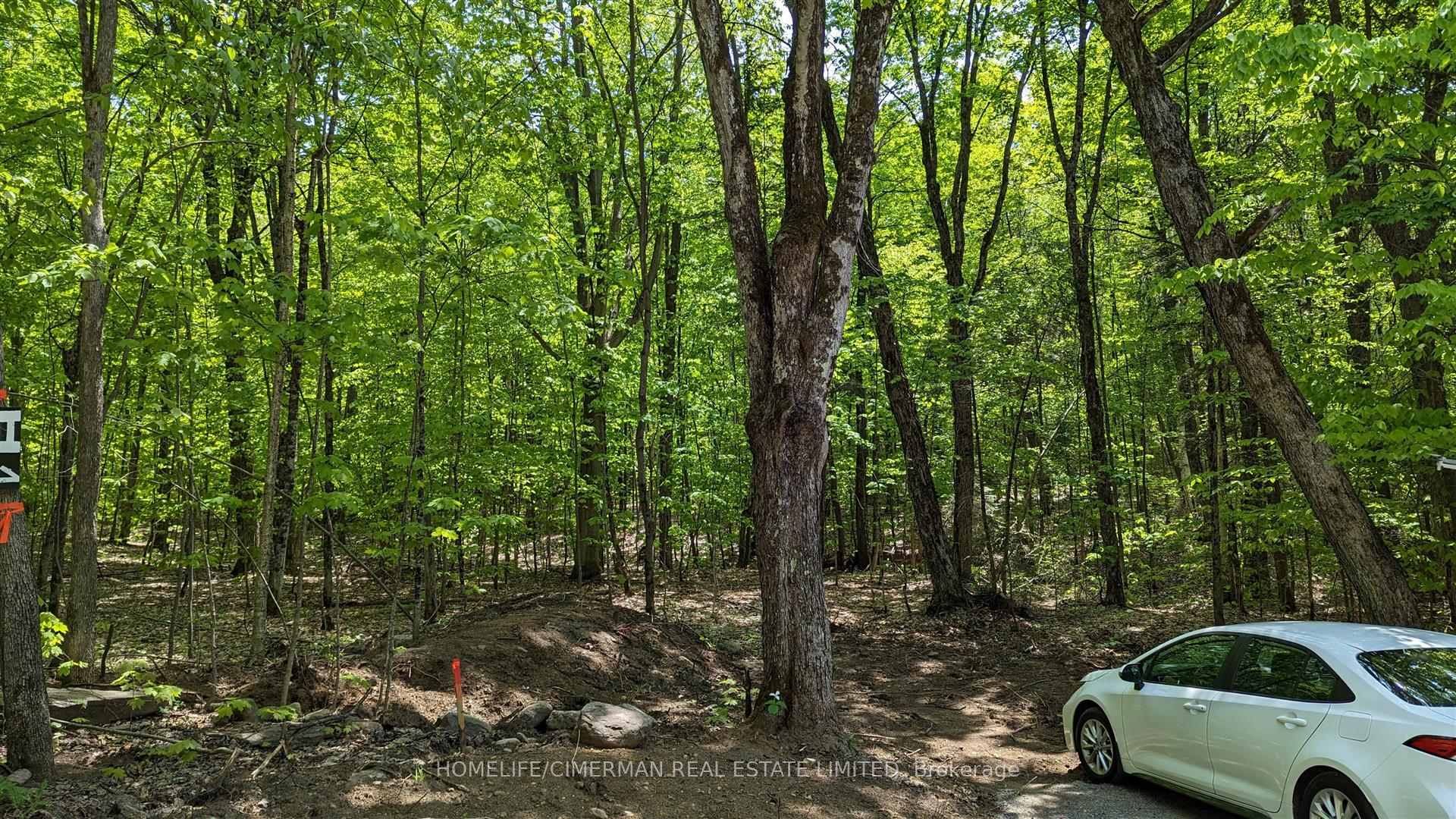 Photo 8 of 68 Mccauley Road, Seguin — HOMEH