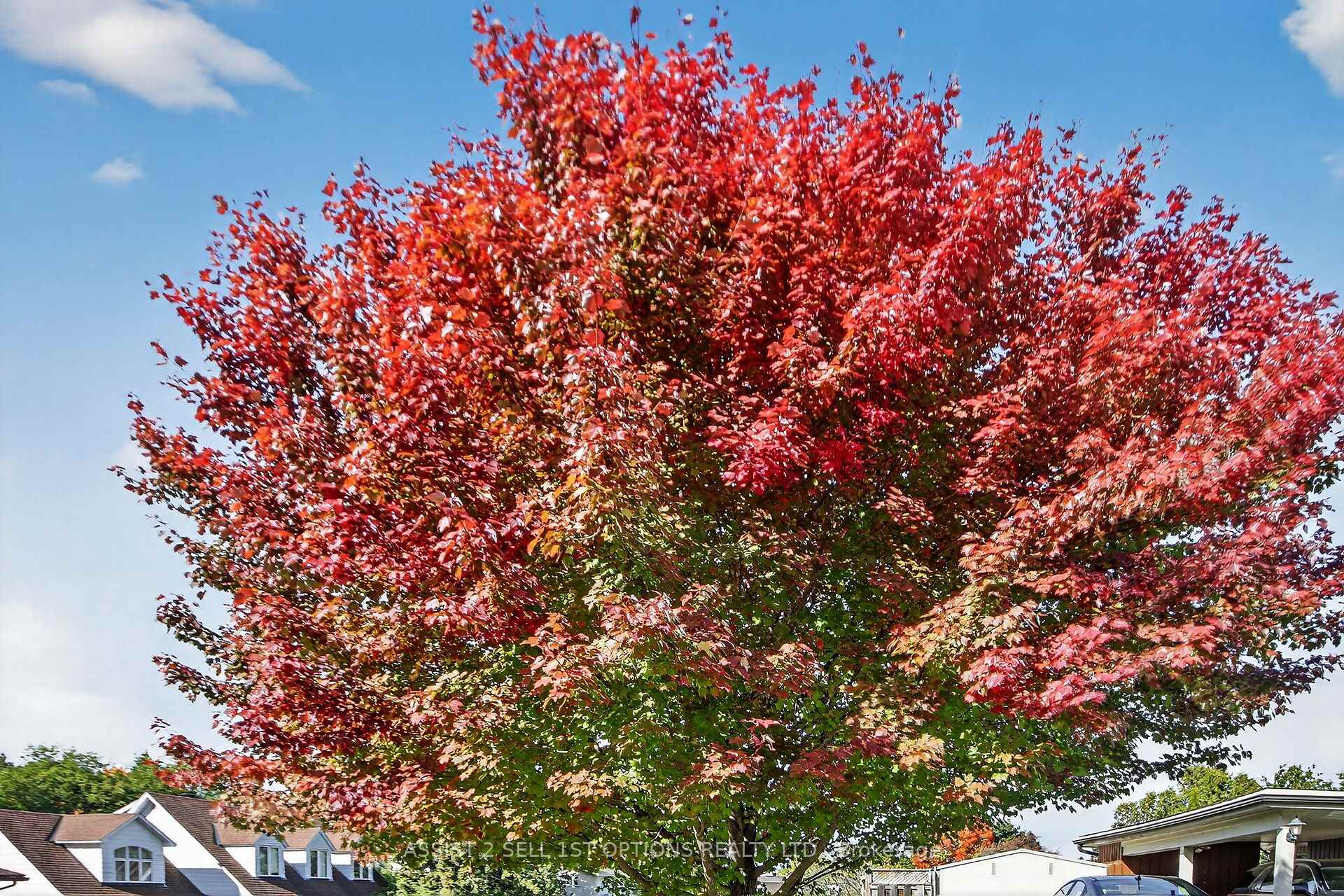 Photo 26 of 24 Barnes Crescent, Ottawa, Leslie Park — HOMEH
