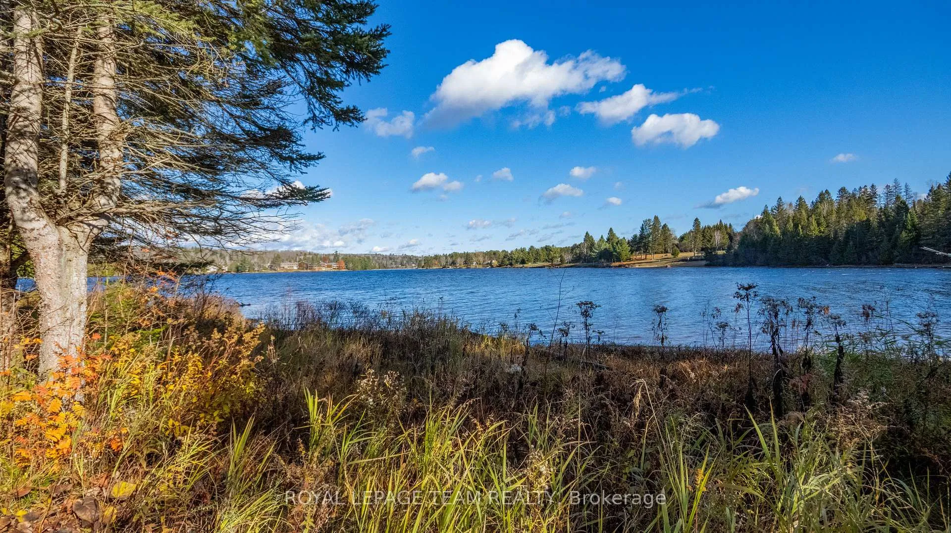 Photo 5 of 21 Dave Bowers Lane, South Algonquin — HOMEH