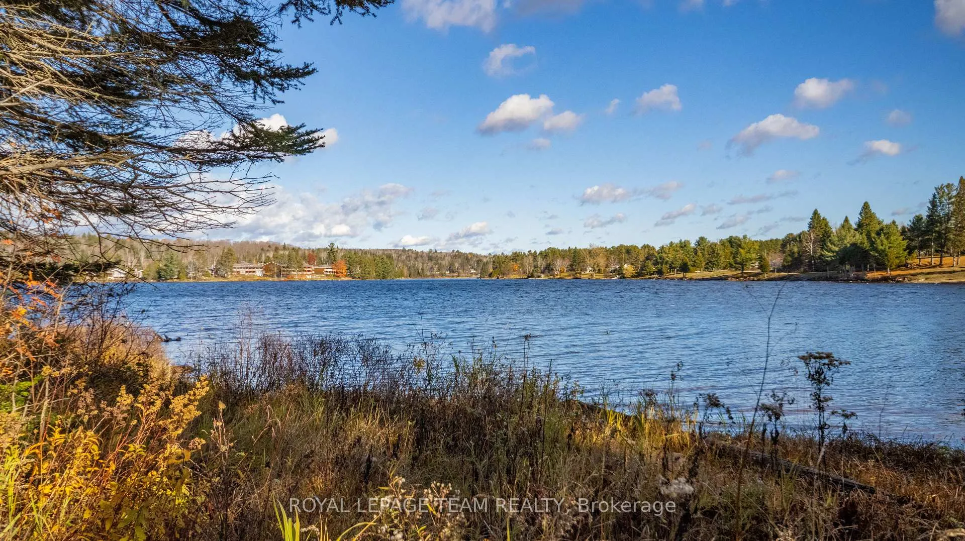 Photo 33 of 21 Dave Bowers Lane, South Algonquin — HOMEH