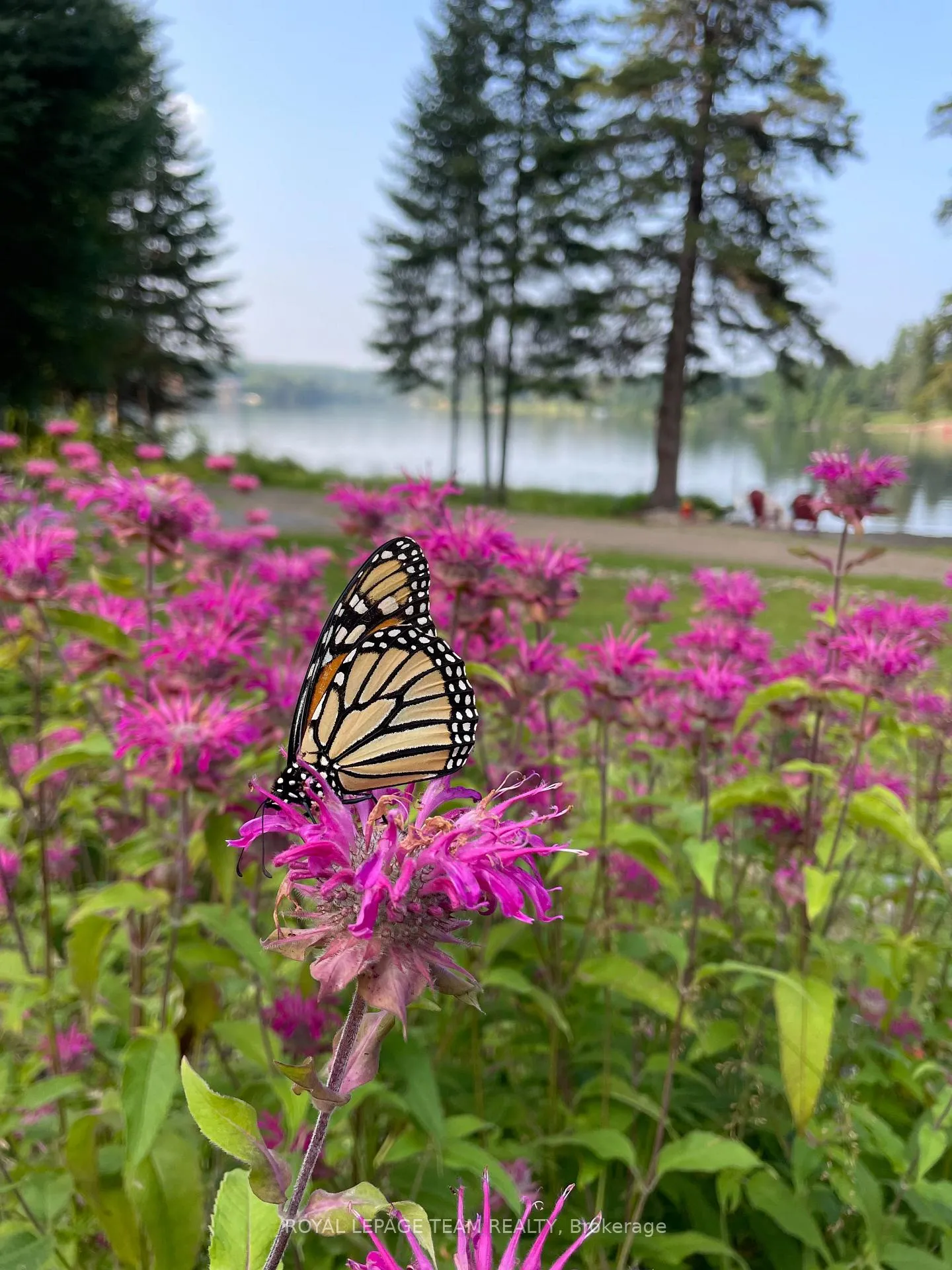 Photo 44 of 21 Dave Bowers Lane, South Algonquin — HOMEH