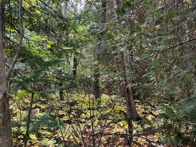 Photo of 7 Shore Road