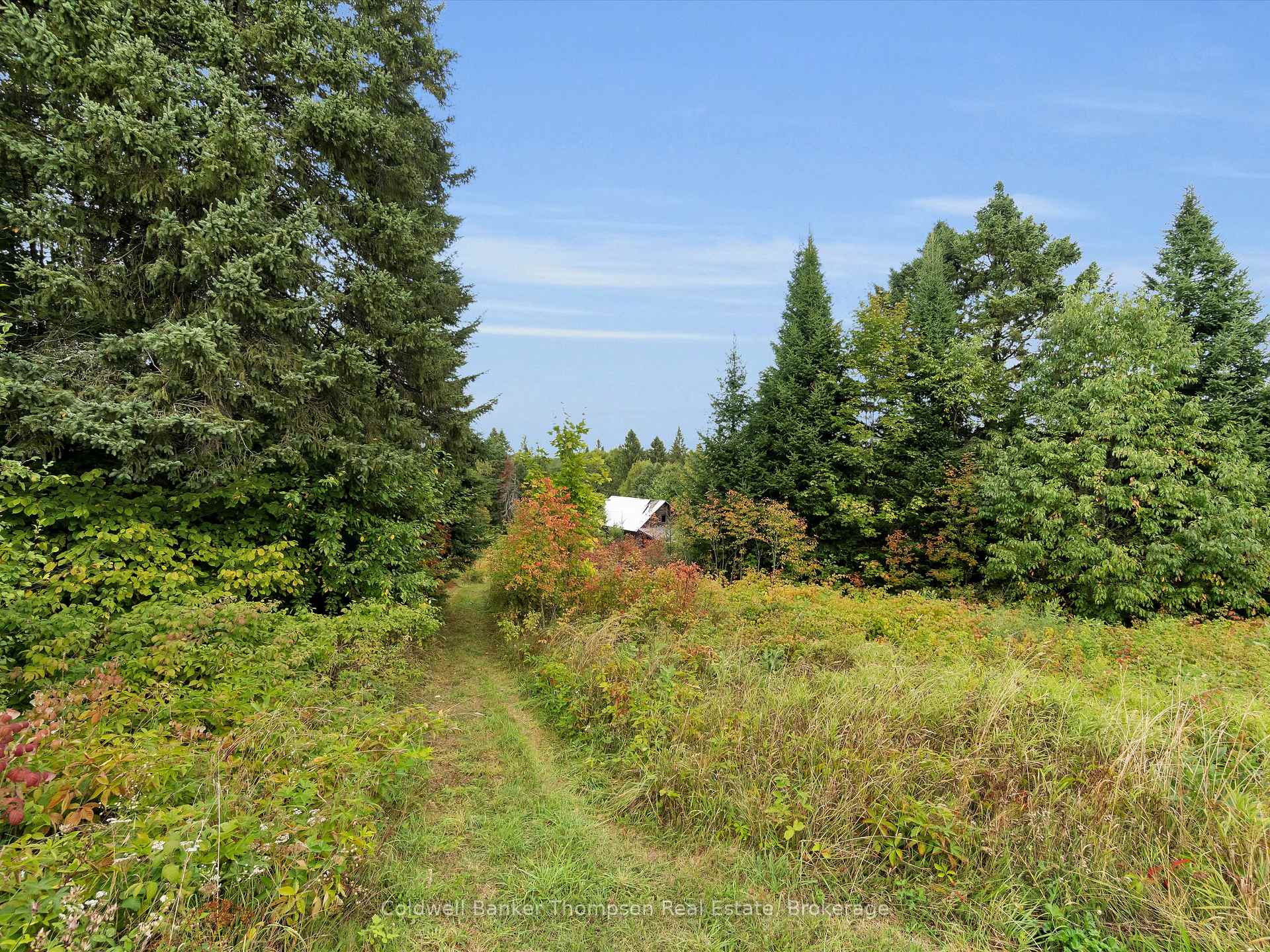 Photo 26 of 1859 Starratt Road, Ryerson — HOMEH