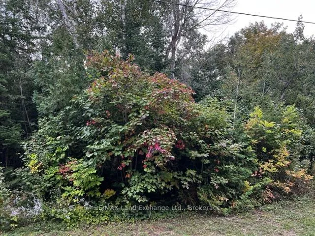 Photo of 5 Shore Road