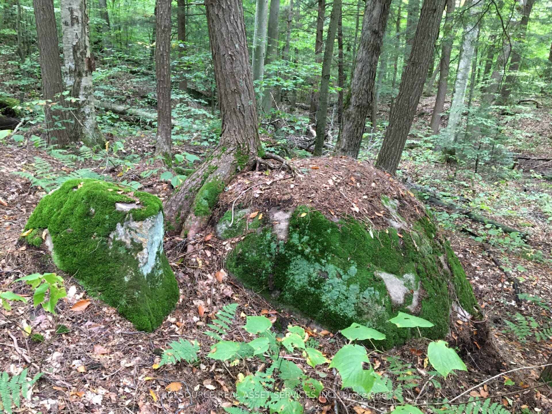 Photo 4 of 00 Rye Road, South River — HOMEH