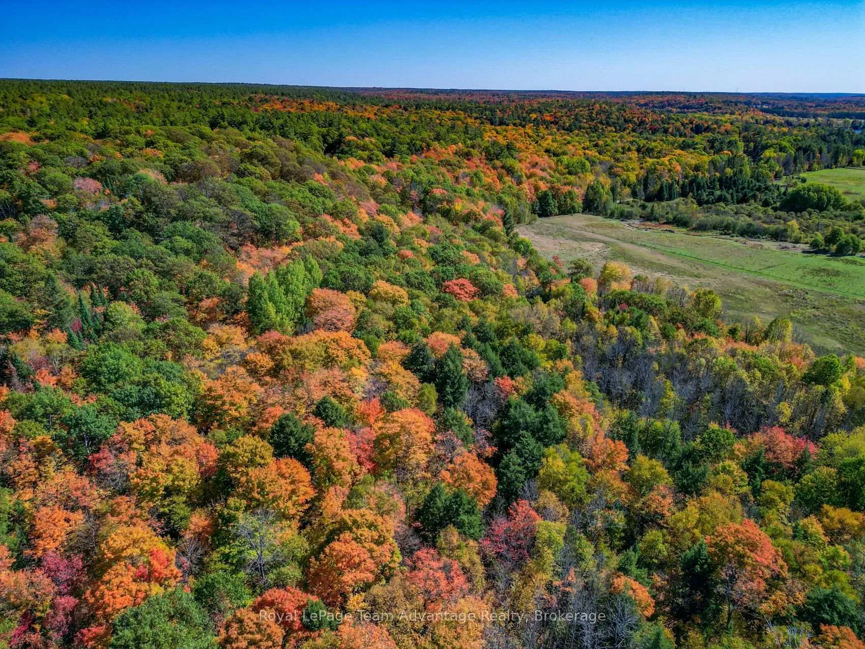 Photo 23 of 186 Turtle Lake Road, Seguin — HOMEH