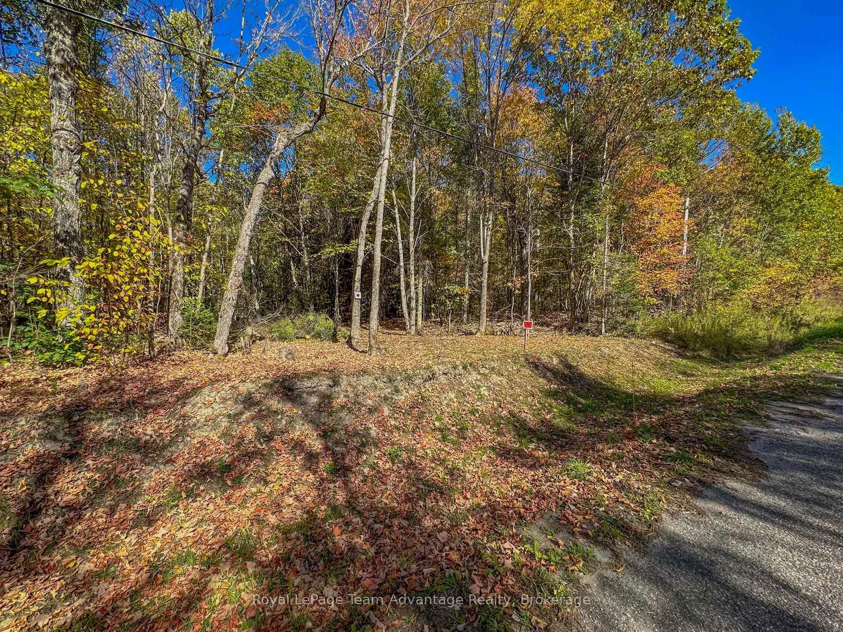 Photo 25 of 186 Turtle Lake Road, Seguin — HOMEH