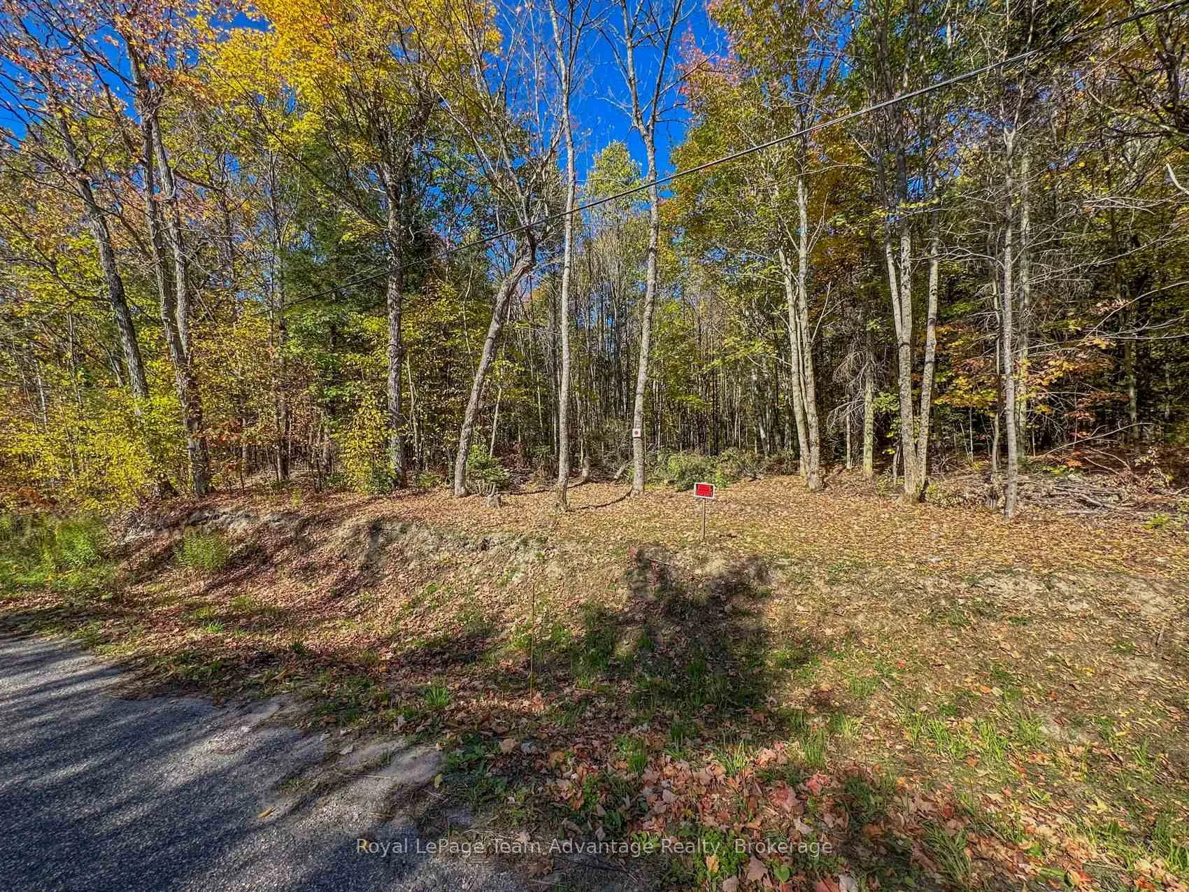 Photo 26 of 186 Turtle Lake Road, Seguin — HOMEH