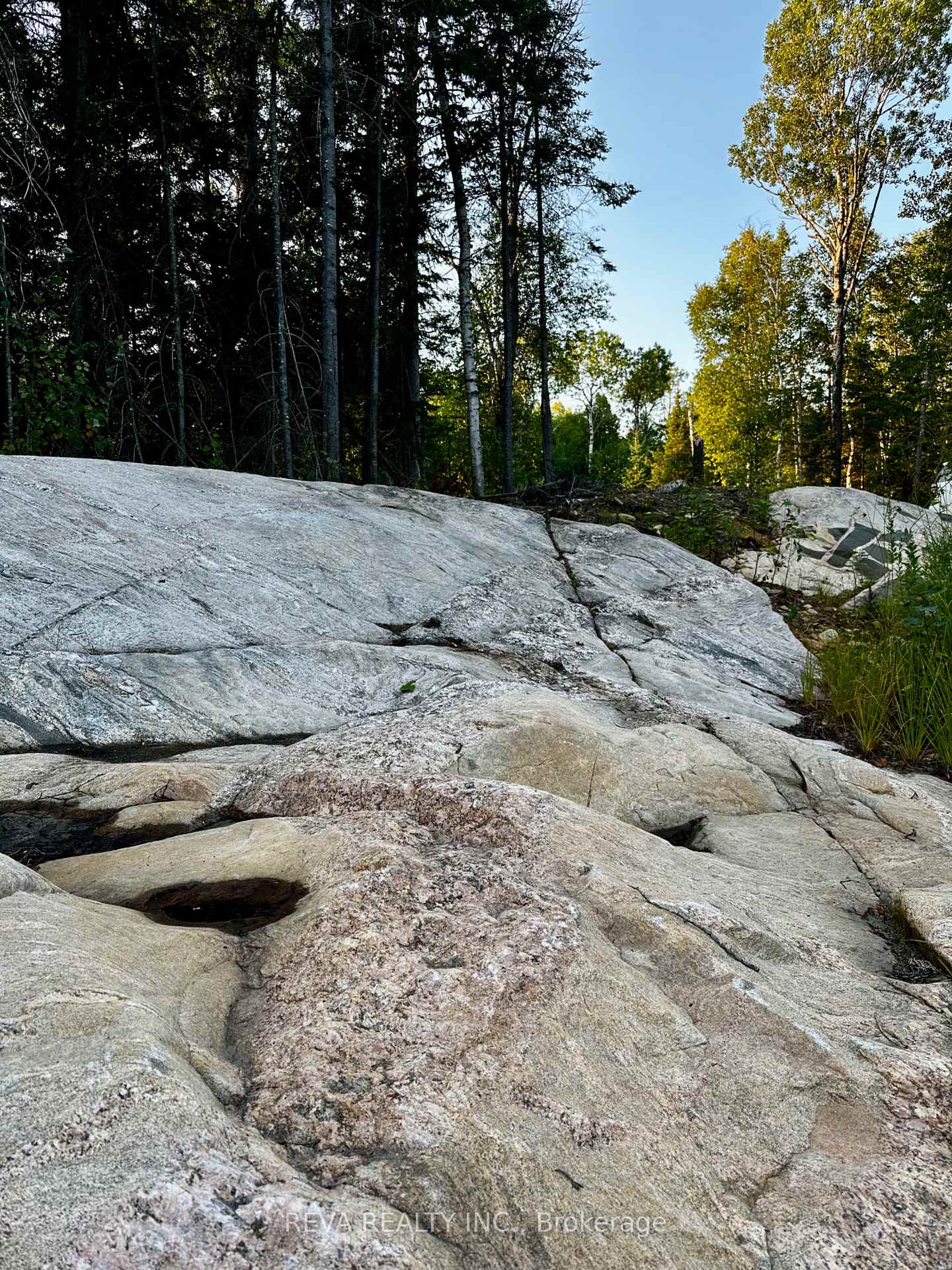 Photo 3 of 1647 & 1654 Mackenzie Lake Road, South Algonquin — HOMEH