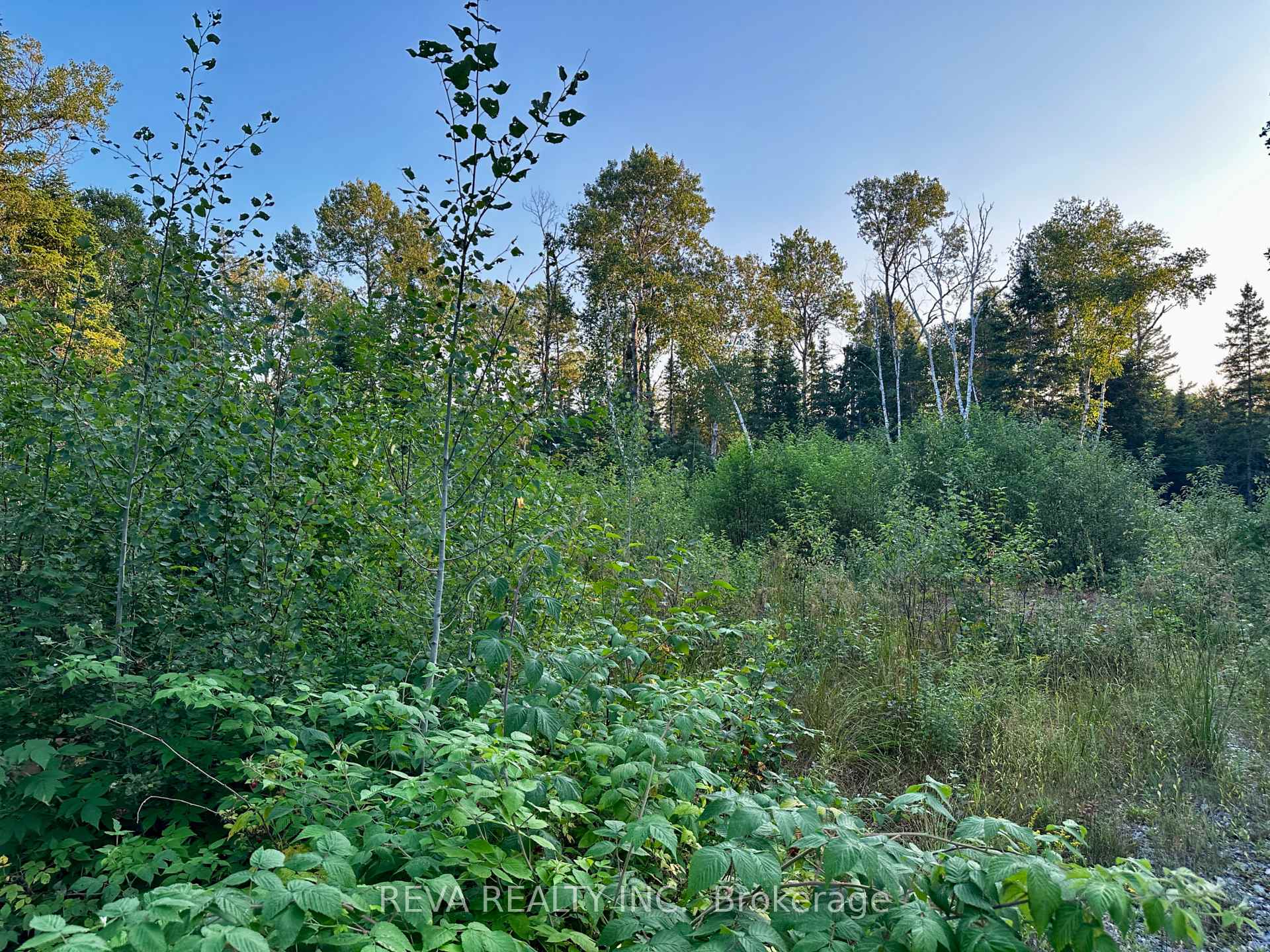 Photo 4 of 1647 & 1654 Mackenzie Lake Road, South Algonquin — HOMEH