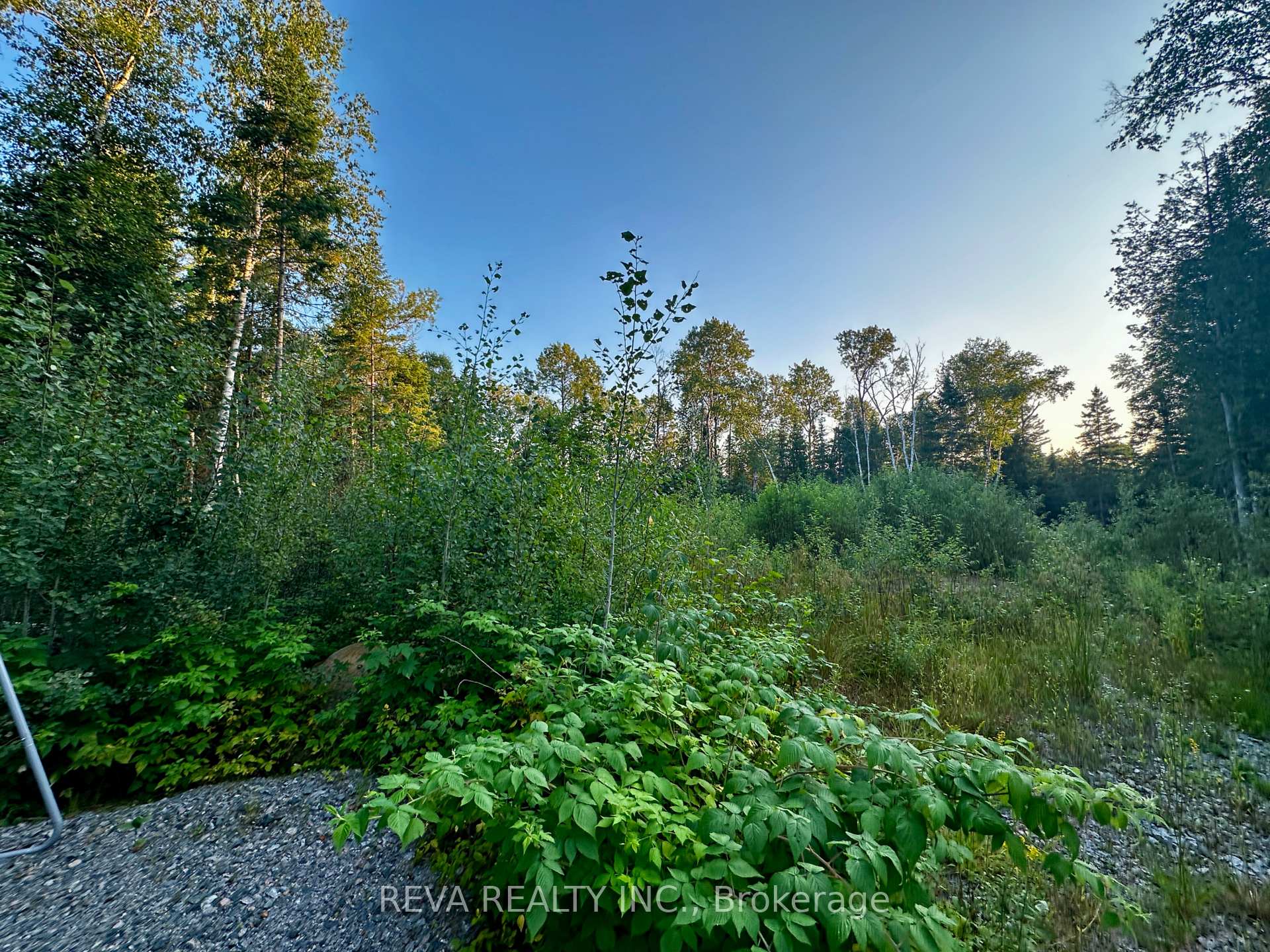 Photo 5 of 1647 & 1654 Mackenzie Lake Road, South Algonquin — HOMEH