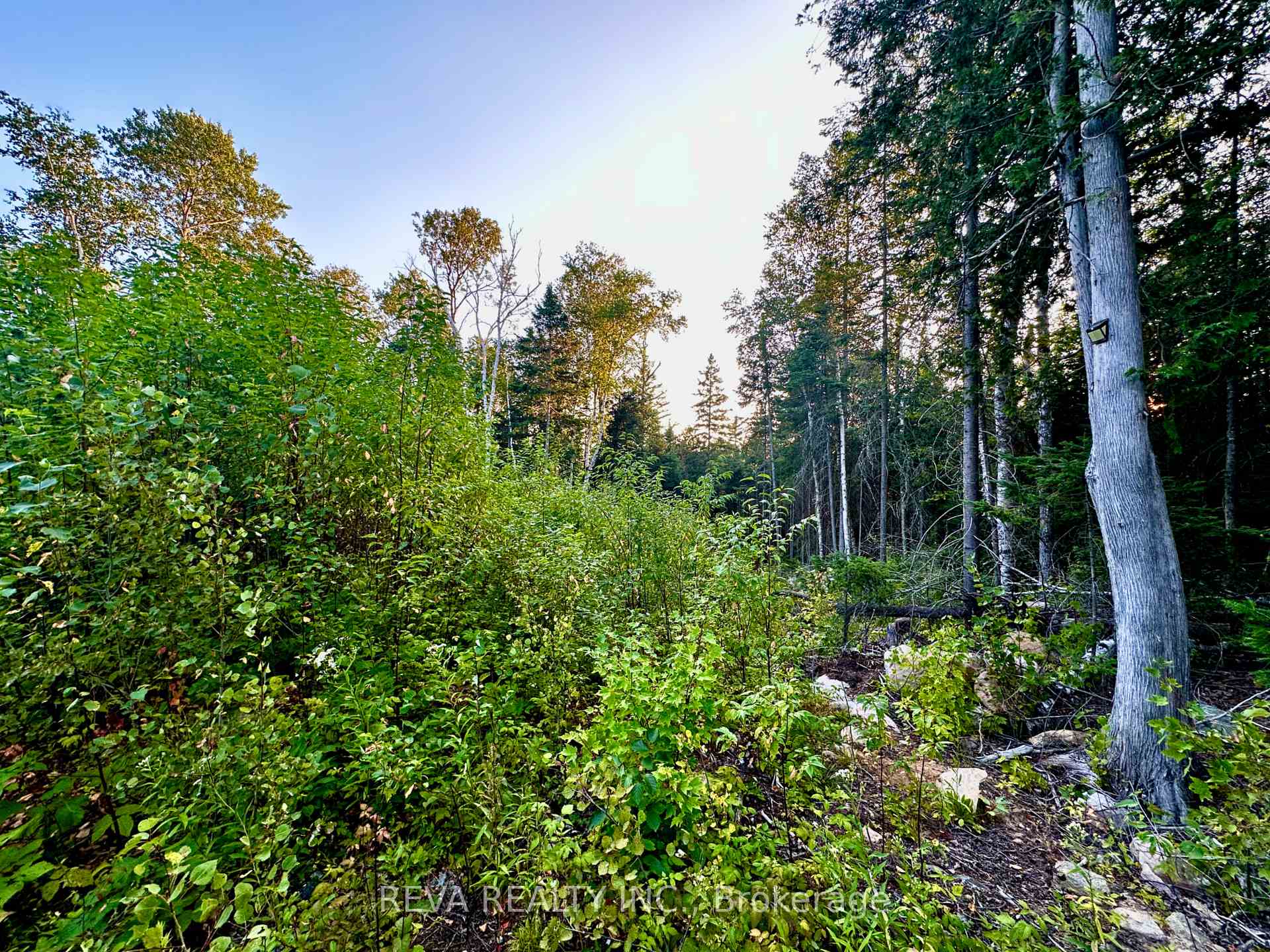 Photo 6 of 1647 & 1654 Mackenzie Lake Road, South Algonquin — HOMEH