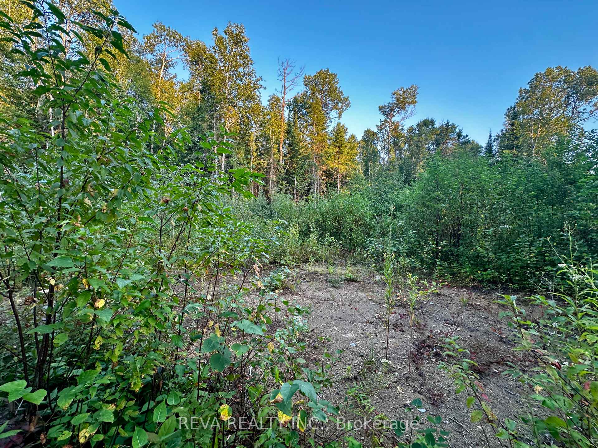 Photo 7 of 1647 & 1654 Mackenzie Lake Road, South Algonquin — HOMEH