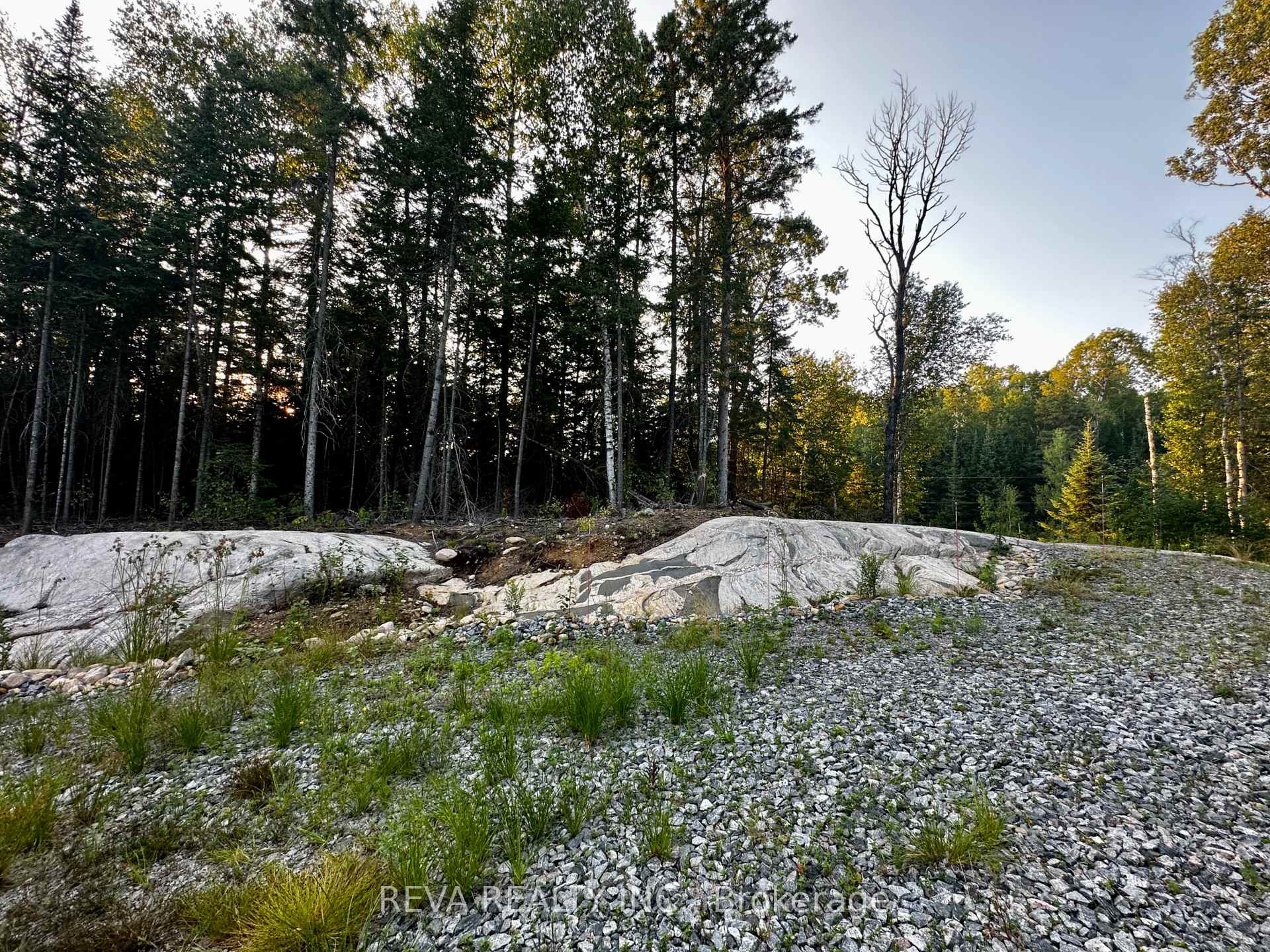 Photo 8 of 1647 & 1654 Mackenzie Lake Road, South Algonquin — HOMEH