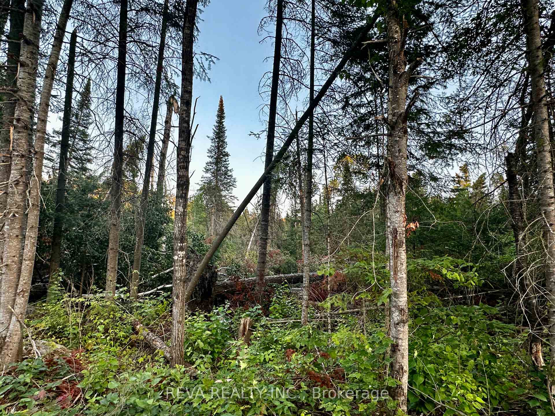 Photo 9 of 1647 & 1654 Mackenzie Lake Road, South Algonquin — HOMEH