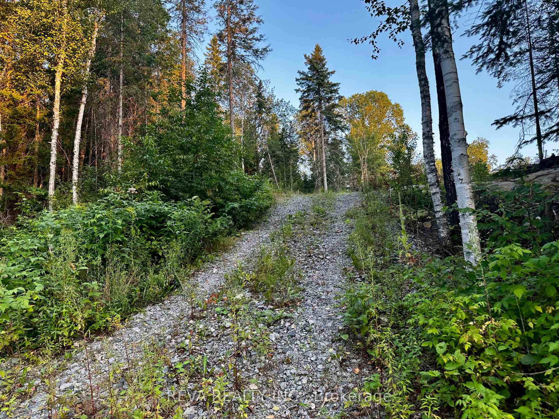 Photo 10 of 1647 & 1654 Mackenzie Lake Road, South Algonquin — HOMEH
