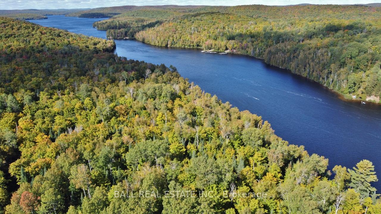 Photo 9 of 4570 Hay Lake, South Algonquin — HOMEH