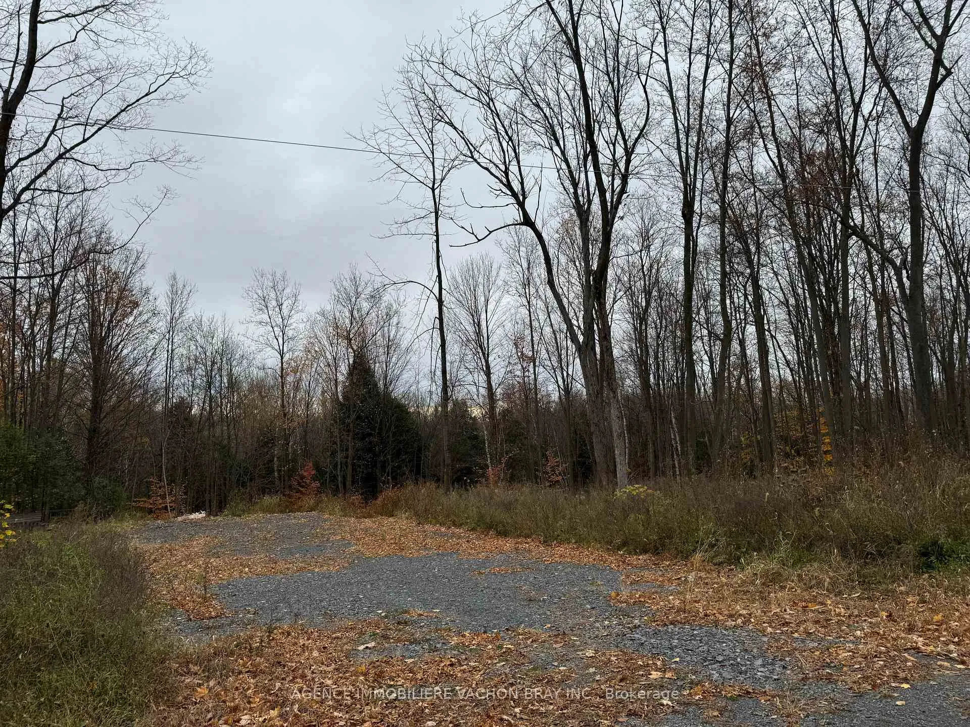 Front of LOT Parkhill Circle
